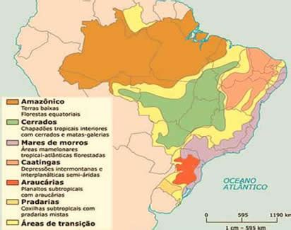 Dom Nios Morfoclim Ticos Dom Nios Morfoclim Ticos Brasileiros Brasil