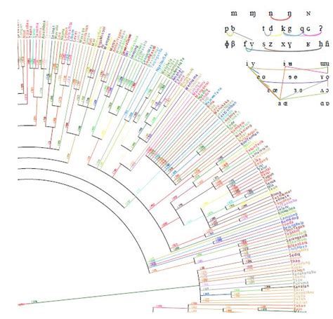 Family Tree of Austronesian Languages