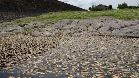 Descubra Em Que Consiste A Vulnerabilidade Ambiental