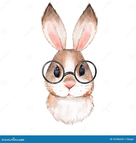 Bunny With Glasses, Rabbit With Sunglasses, Wayfarer Aviator Glasses ...