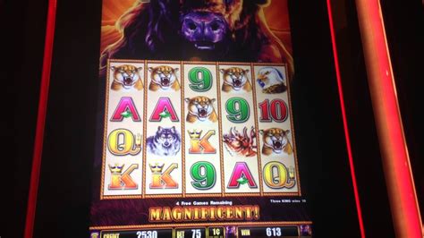 BUFFALO STAMPEDE SLOT MACHINE BONUS WIN YouTube