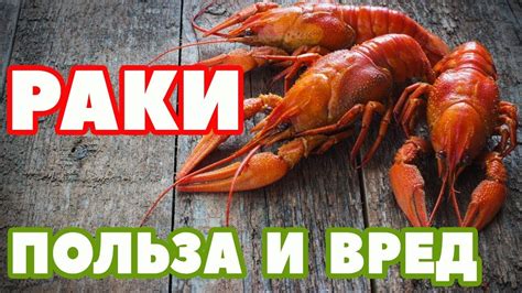 Раки: польза и вред, противопоказания. Готовим раков чили. - YouTube