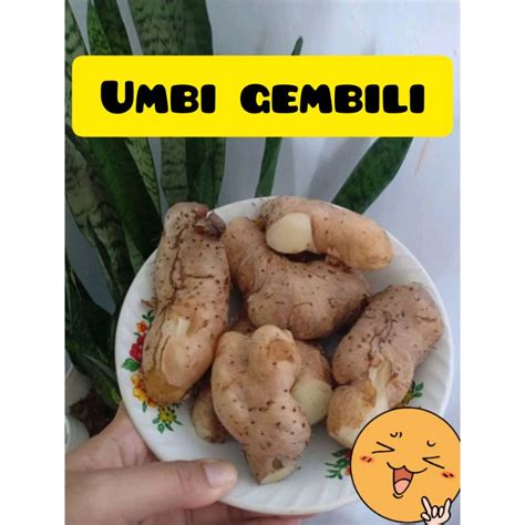 Jual Umbi Gembili Enak Pulen Gr Shopee Indonesia