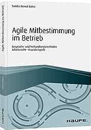 Agile Mitbestimmung im Betrieb inkl Arbeitshilfen online Gesprächs