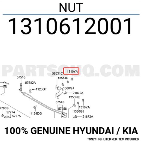 NUT 1310612001 | Hyundai / KIA Parts | PartSouq