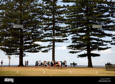 Newport Beach Northern Beaches Sydney Australia Stock Photo Alamy