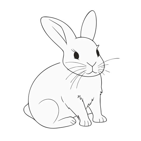 Baby Animal Coloring Black And White Coloring Page For Kids 23886540 Png