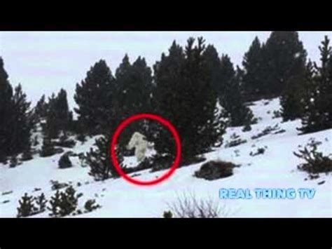 Yeti Caught On Camera In Spanish Ski Resort Awakening Start Here