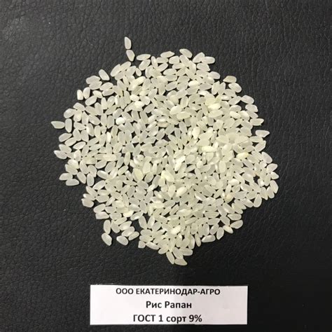 Продам рис Рапан, купить рис Рапан, Краснодар — ZernoRU.com