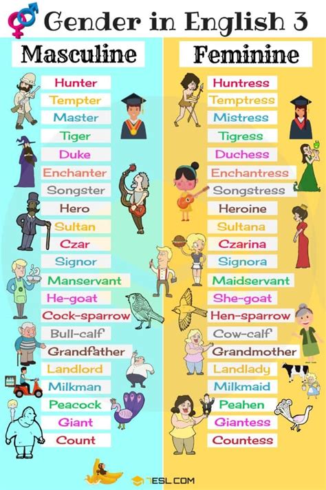 Gender Of Nouns In English • 7esl