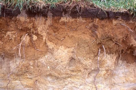 Atlas Of Soils And Weathering Geological Digressions