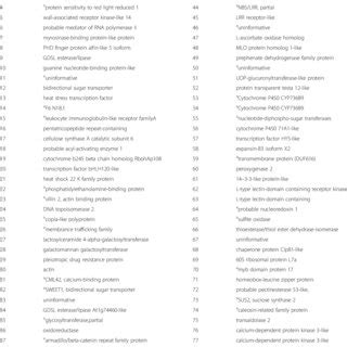 Gene networks comprised of SNPs and their associated drought-related ...