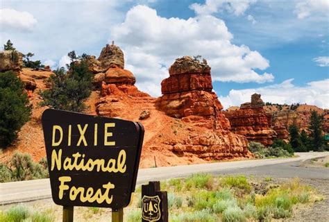 Dixie National Forest