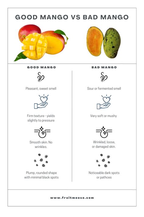 How To Tell If A Mango Is Bad Unmissable Signs Fruit Moose