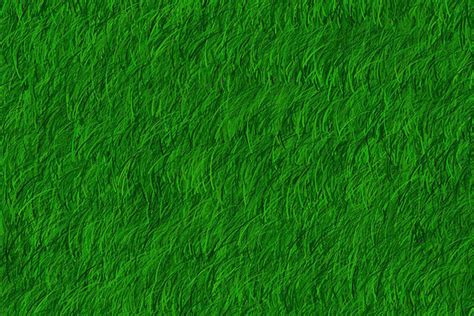 60 Best Photoshop Grass Textures Free Psd Download