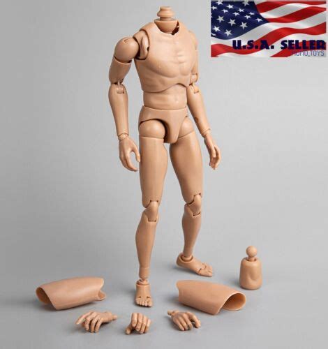 Narrow Shoulder Male Body Figure For Hot Toys Ttm Ttm Ttm Usa Ebay