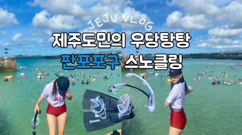 판포포구 스노클링 🤿 제주도 여름 즐기기 🌊 근데 살짝 어설픔을 곁들인😅 Jeju Snorkeling Vlog 🍊제주