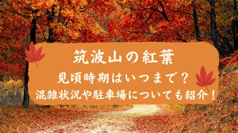 筑波山の紅葉2024の見頃時期はいつまで？混雑状況や駐車場についても紹介！｜happy Life