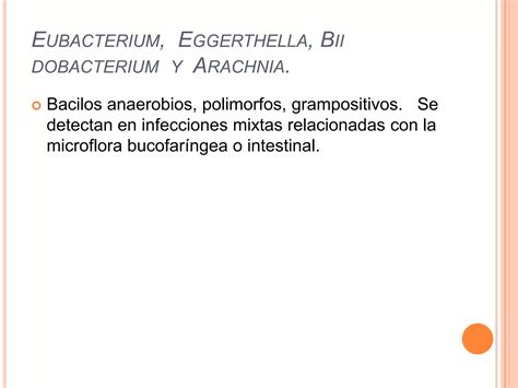 Infecciones Causadas Por Bacterias Anaerobias Ppt