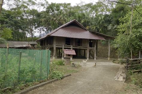 Discovering unique traditional house architectures in Vietnam | Eviva Tour