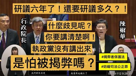 時代力量 陳椒華 質詢 行政院長 陳建仁 揭弊者保護法 妨害司法公正罪 不法關說罪 台美貿易倡議協定 20230719 院會 臨時會