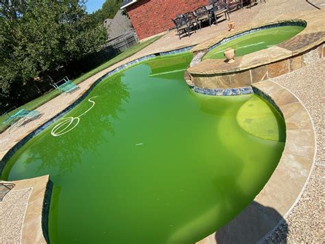 Services & Maintenance | Sky Blue Pools