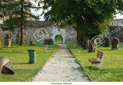 Ostrožac preuzmite fotografiju Foto Baza