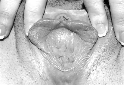 Hometown Slut Bunny Porn Pictures XXX Photos Sex Images