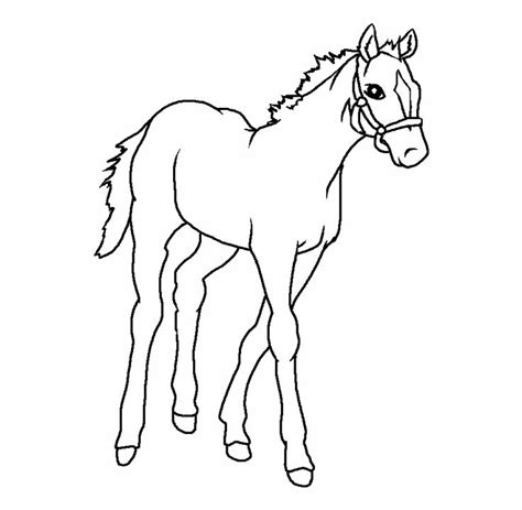 a horse that is standing in the grass coloring pages for kids and ...