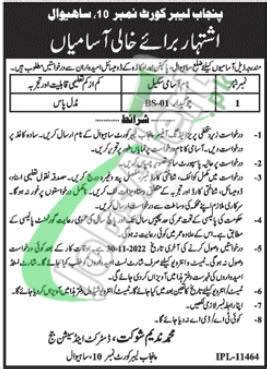 Jobs In Sahiwal Latest Sahiwal Jobsalert Pk