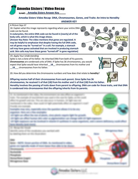 Solution Biology Take Home Lesson Key Studypool