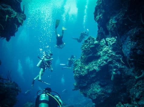 🤿 Scuba Diving Cozumel Conditions [+Video]🏝 2024