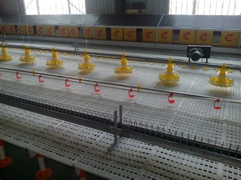 Buy Chicken Farm House Automatic Pan Feeder Line Price Broiler Feed