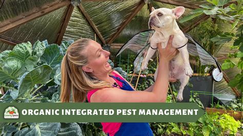 Ultimate Guide To Organic Integrated Pest Management Strategies For A