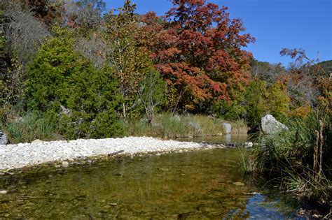 Lost Maples State Natural Area Lost Maples State Natural Area Foliage ...