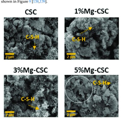 Sem Images Of Calcium Silicate And Co Synthesized And