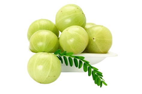 Amla Png Transparent Background Png