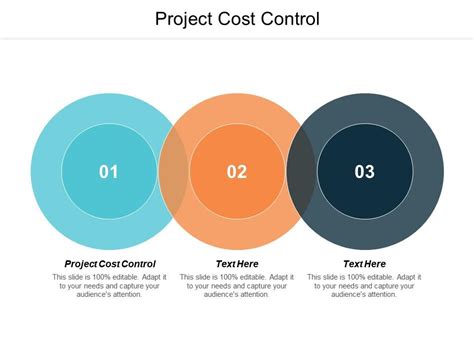 Project Cost Control Ppt Powerpoint Presentation Slides Clipart Images