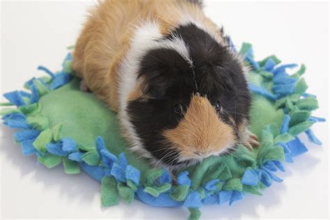 Guinea Pig Bedpillow By Handmadebymadeline On Etsy