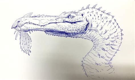 Alligator Head Drawing