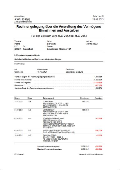 Bt Professional Betreuungssoftware Rechnungslegung