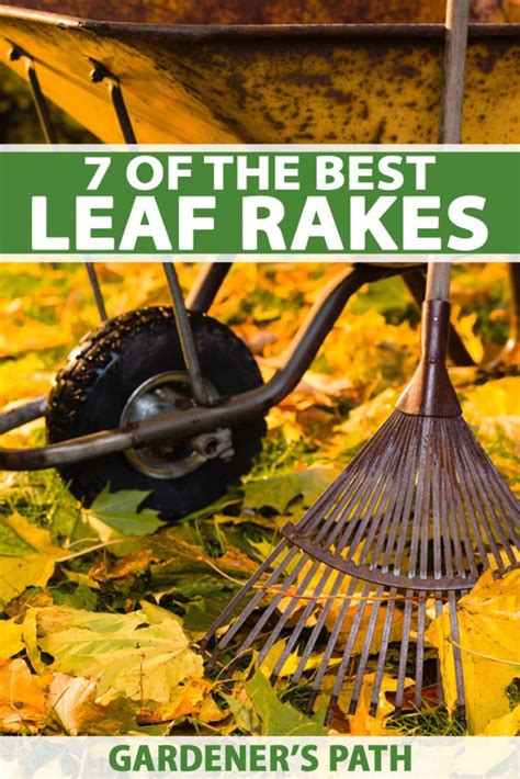 7 of the Best Leaf Rakes for 2024 | Gardener's Path Review