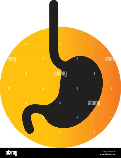 Stomach Cut Out Stock Vector Images Alamy