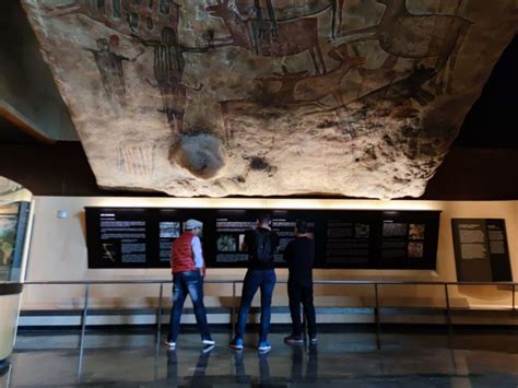 Ciudad De México Visita Guiada Al Museo Nacional De Antropología