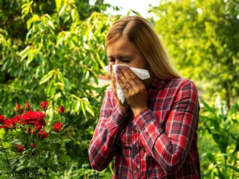 Allergie Primaverili Ecco Quali Cibi Evitare Durante La Stagione