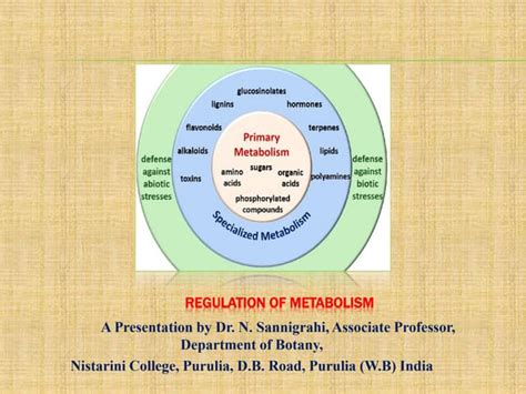 REGULATION OF METABOLISM IN PLANTS AND THE DIFFERENT MECHANISMS | PPT