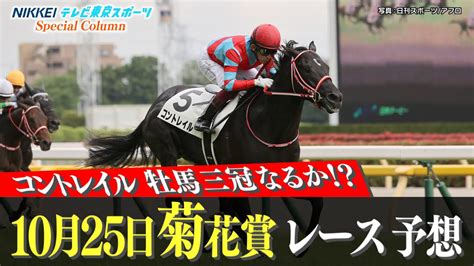 コントレイル デアリングタクト 三冠 菊花賞 秋華賞 競馬 ウマ娘 ゼッケン