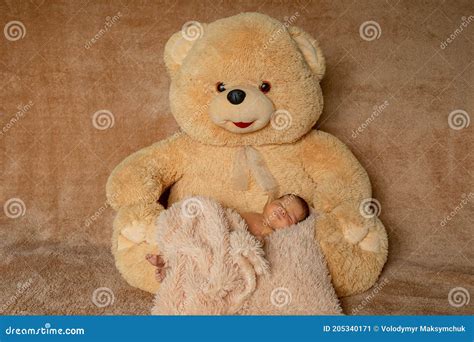 Two Week Old Newborn Baby Sleeping On Teddy Bear Stock Image Image Of