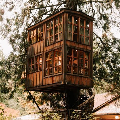 Treehouse Point: Washington State’s Treehouse Getaway – Unusual Places