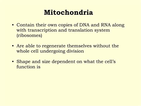 Ppt Mitochondria Powerpoint Presentation Free Download Id 9341041